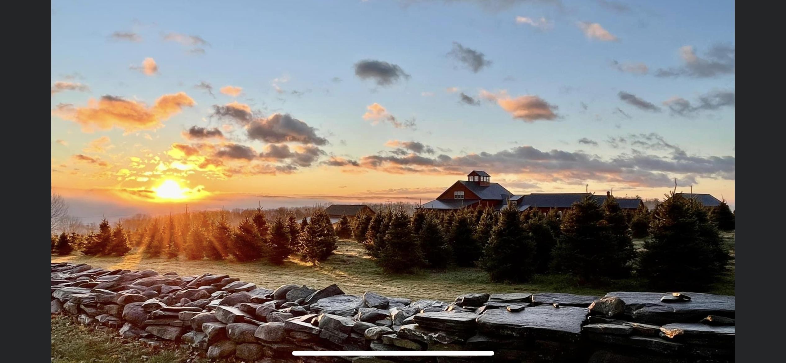 The Wedding Website of Erin Zaleski and Zach Zito