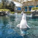 Mystic Aquarium