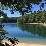 Walden Pond State Reservation