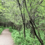 SCHRAMM PARK STATE RECREATION AREA