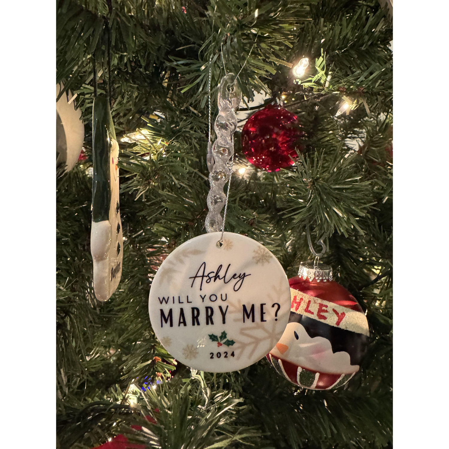 The ornament Eli proposed with!