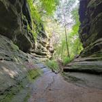 Starved Rock State Park