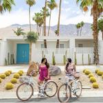 GO ON A BIKE RIDE DOWN PALM CANYON DRIVE