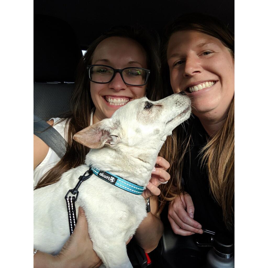 July 2019 - The day we adopted our amazing dogter Maggie <3
