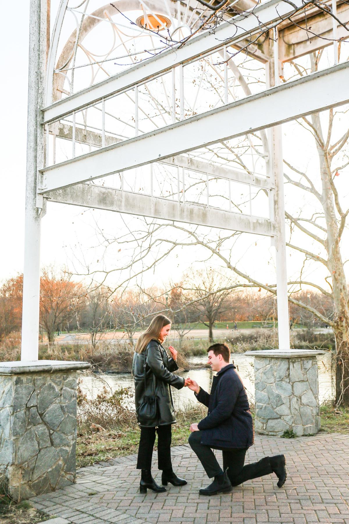 The proposal. Alexandria, VA. 12.27.2022