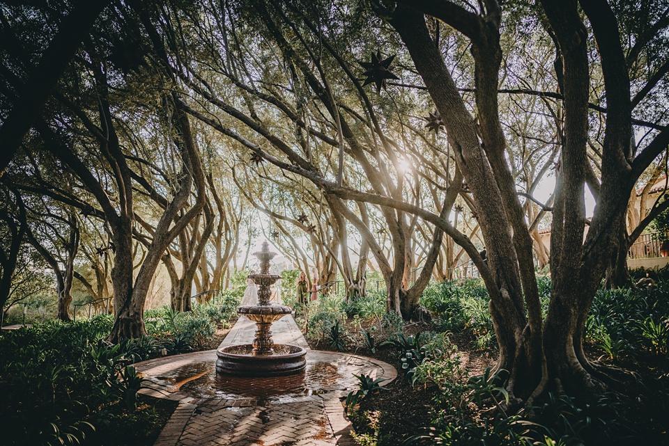 The Wedding Website of Victoria Mevs and Brian Lee