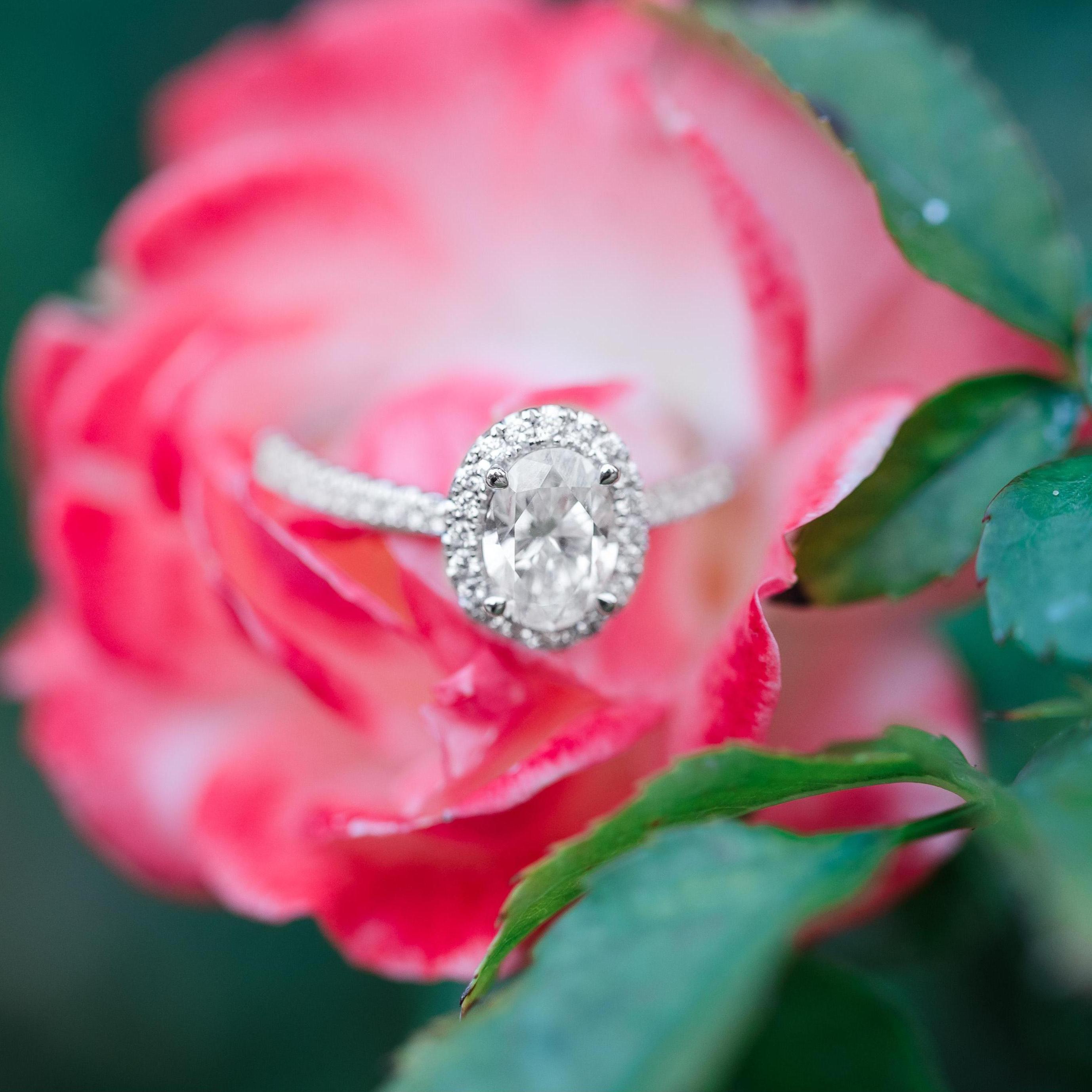 Photos by: Captured by Elle Photography