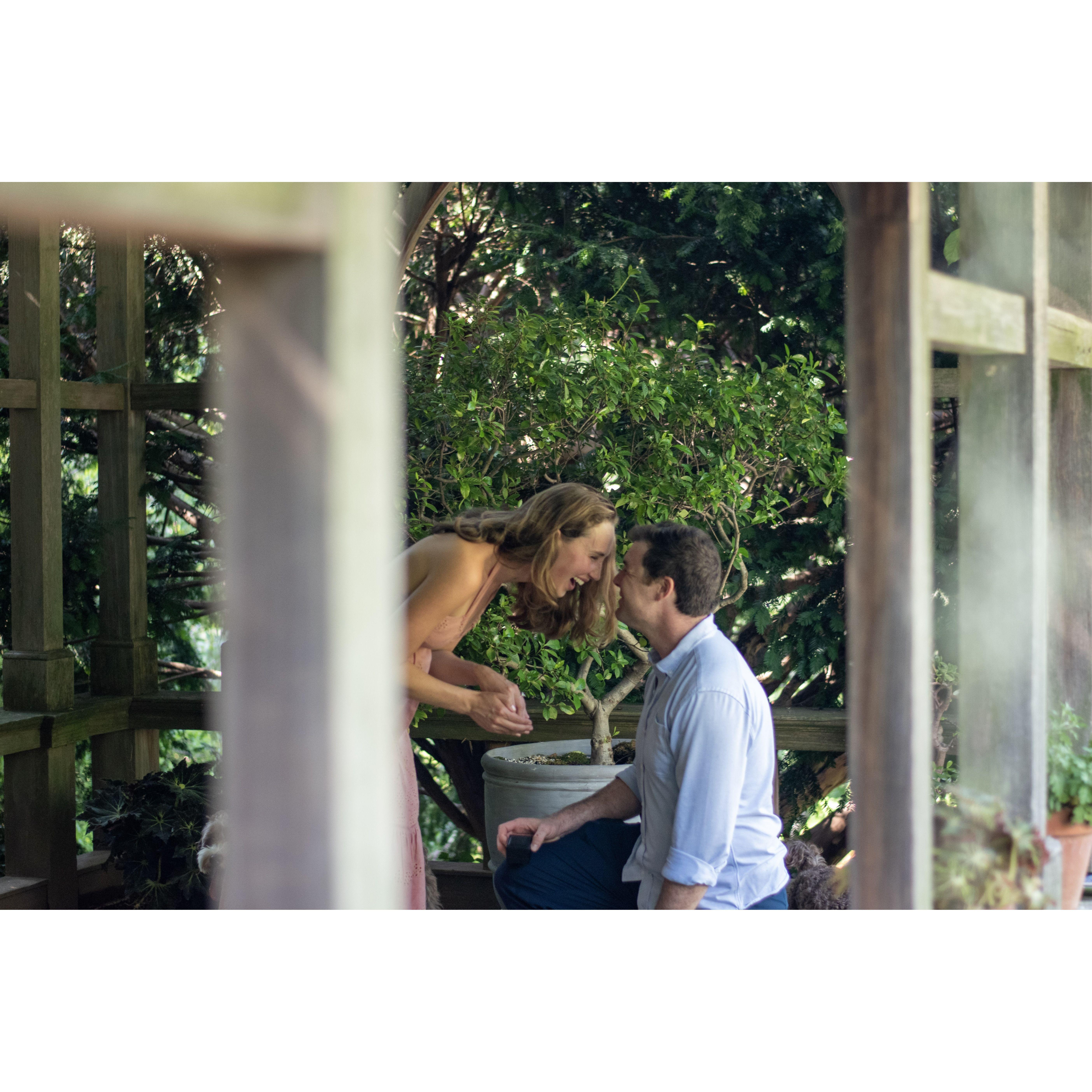 The proposal!