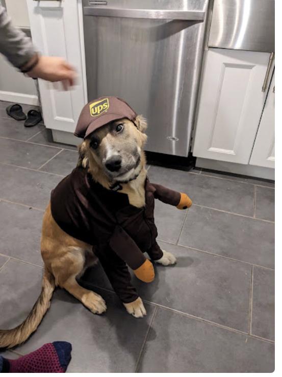 The Wedding Website of Joanna Shell and Luke Porter