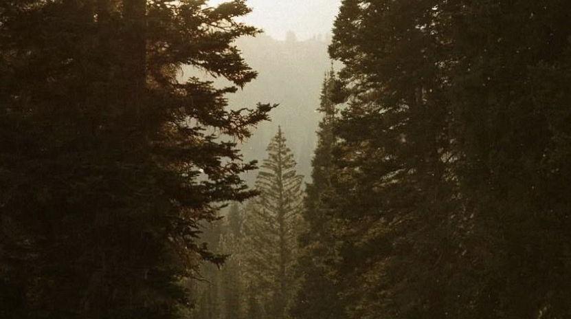 The Wedding Website of Emilia Tattrie and Jack Howard