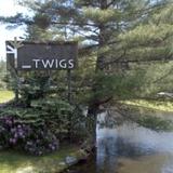 Twigs
