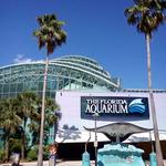The Florida Aquarium