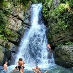 El Yunque National Rainforest