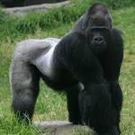 Birmingham Zoo