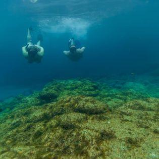 We love snorkeling!! We have done it in many different places.