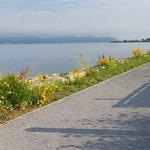 Scenic Hudson RiverWalk Park at Tarrytown