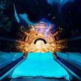 National Museum of Marine Biology & Aquarium 國立海洋生物博物館