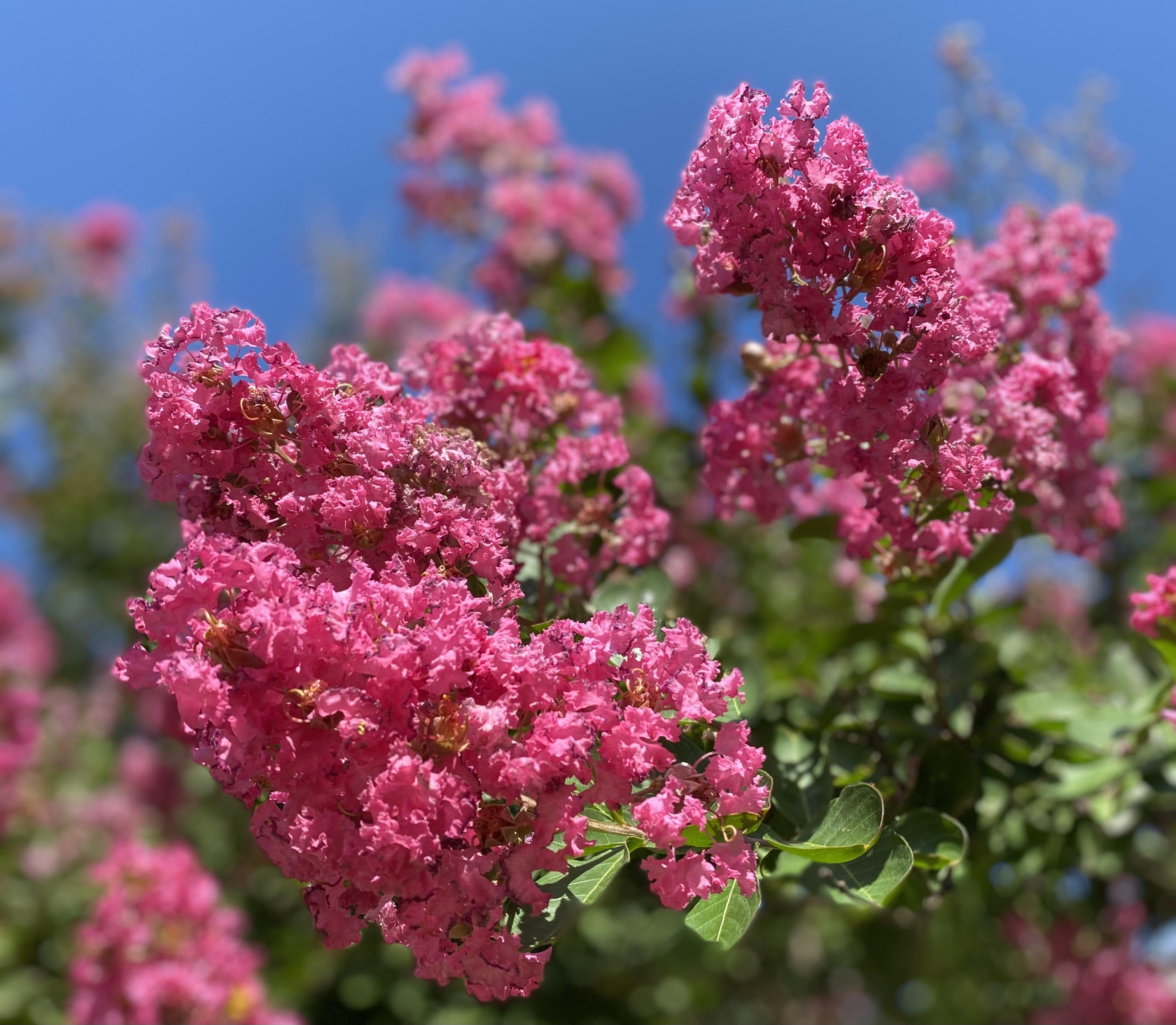 The Wedding Website of Kayley Carnes and Ian Munn