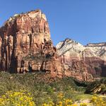 Zion National Park
