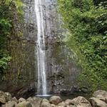 Manoa Falls Trail