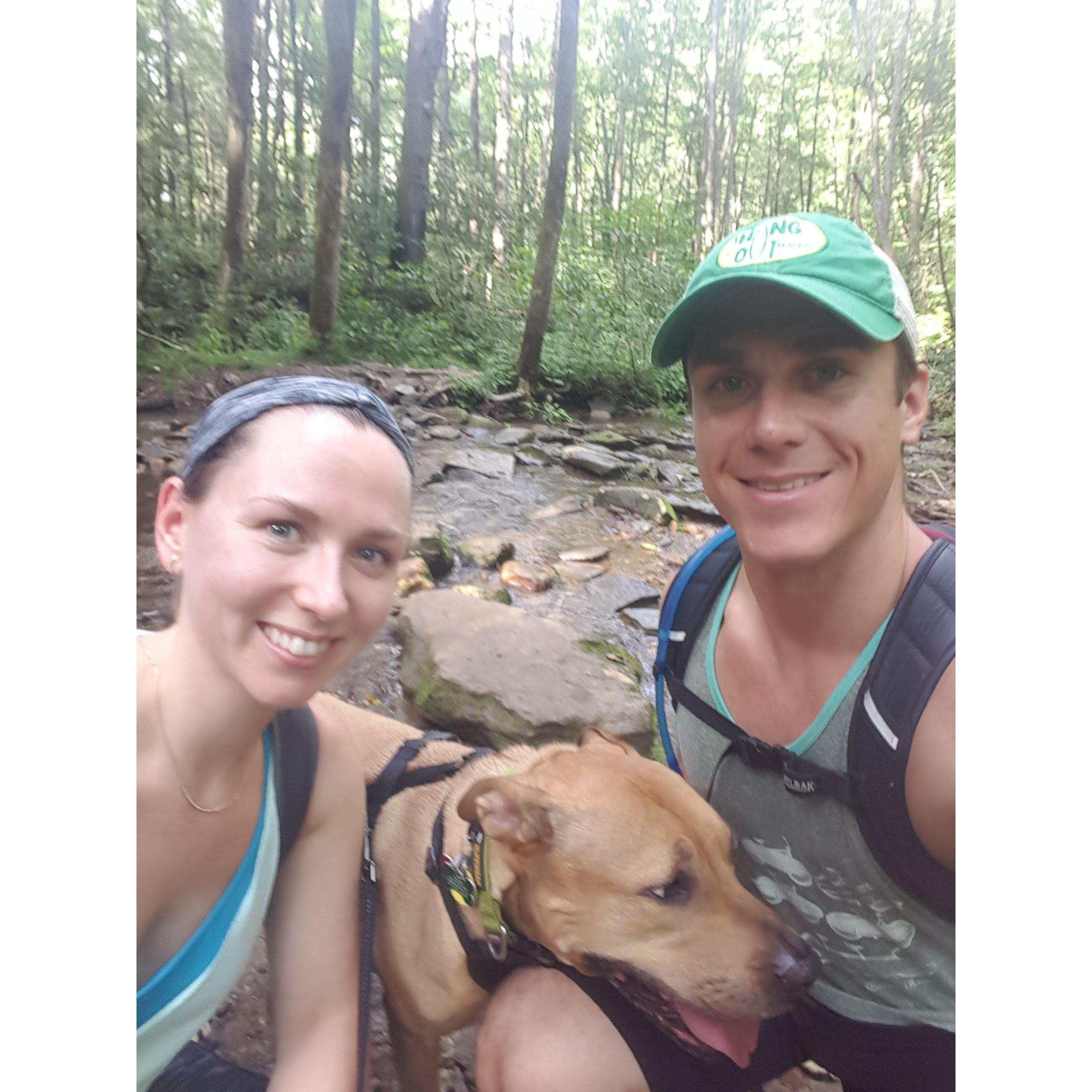 Hiking near Asheville, NC with our OG, Kai Bears.