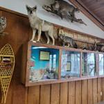 Seven Ponds Nature Center