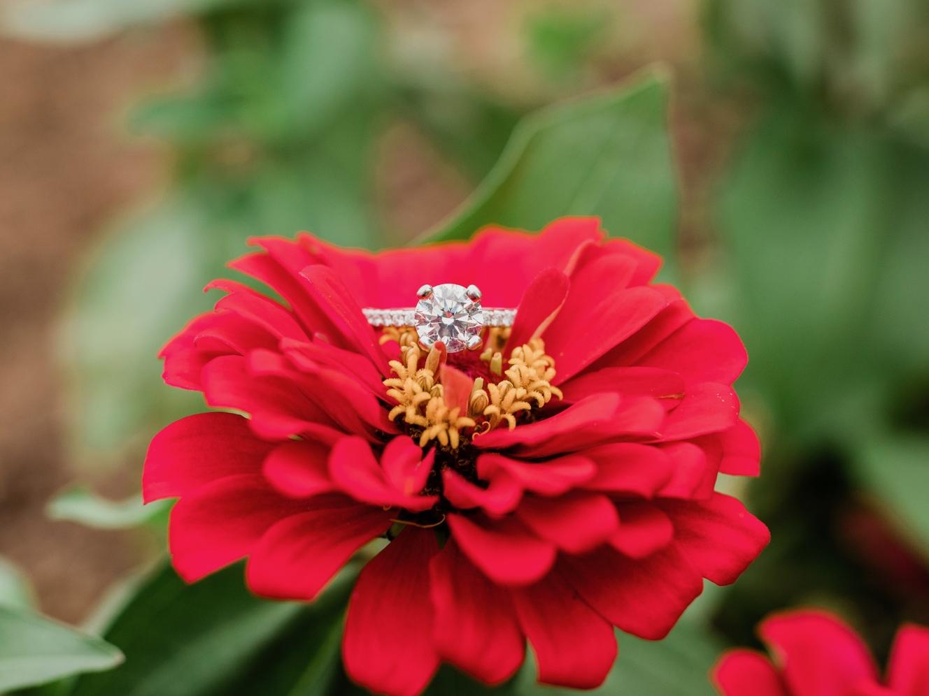 The Wedding Website of Ashley Weldon and James Davis