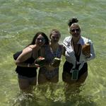 Crab Island Destination Tours, LLC