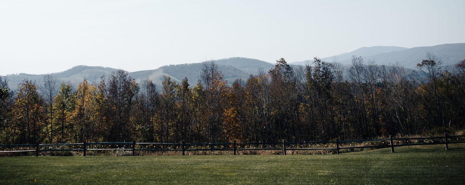 The Wedding Website of Ashlyn Bornstein-Chappell and Will Dellinger