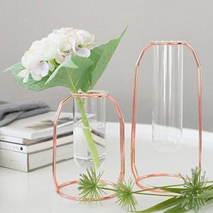 PuTwo Vases Set of 2 Metal Flower Vase Glass Vase Planter Terrariums Gold Vases Rose Gold Vase Plant Vase Glass Vases Cylinder Vase Vases for Decor Clear Vase Decorations for Living Room - Rose Gold