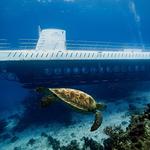 Atlantis Submarines Cozumel