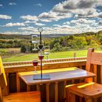 Petoskey Farms Vineyard & Winery