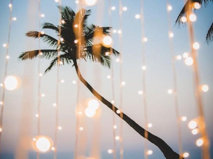 The Wedding Website of Lindsay Mentzer and Hector Montes