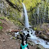Get Outside!