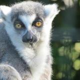 Blank Park Zoo
