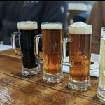 Mountain State Brewing Co