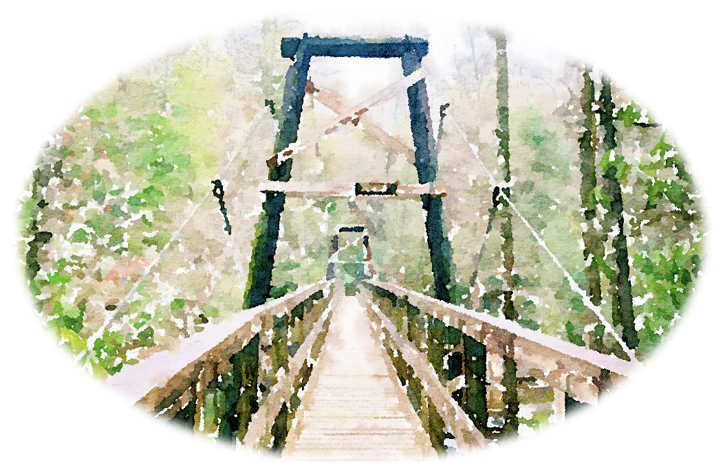 The Wedding Website of Brooke Cicero and Wiles Wiggins