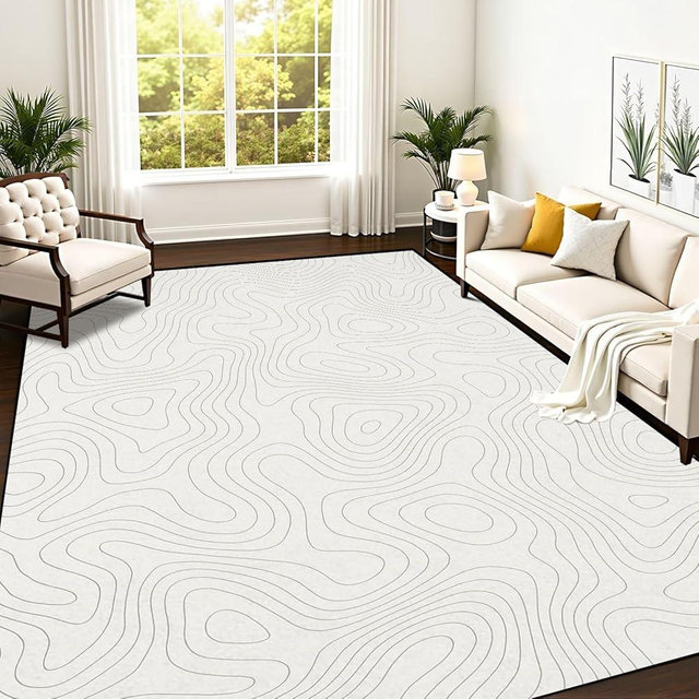 PeeNoke Topographic map Patterns Topography line map Vintage Outdoors Style Area Rug Outdoor Patio Rug Play Mat Modern Floor Carpet Non-Slip Home Decor Living Room Kids Bedroom Nursery, 9x12 ft