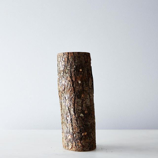 DIY Grow Your Own Mushroom Log