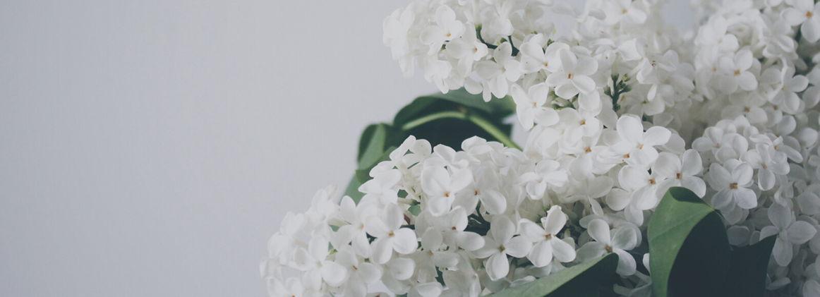 The Wedding Website of Kerri Sullivan and Rebecca Santos