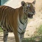 Jaipur Zoo