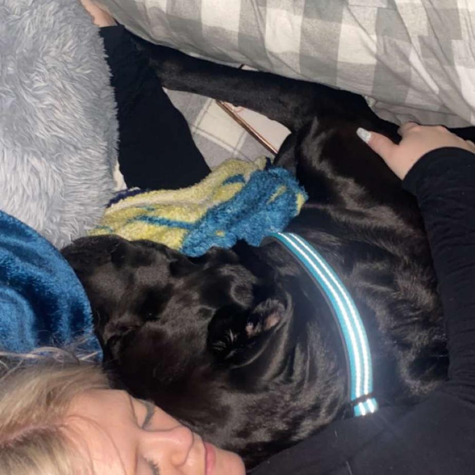 Bruno & Momma snuggles