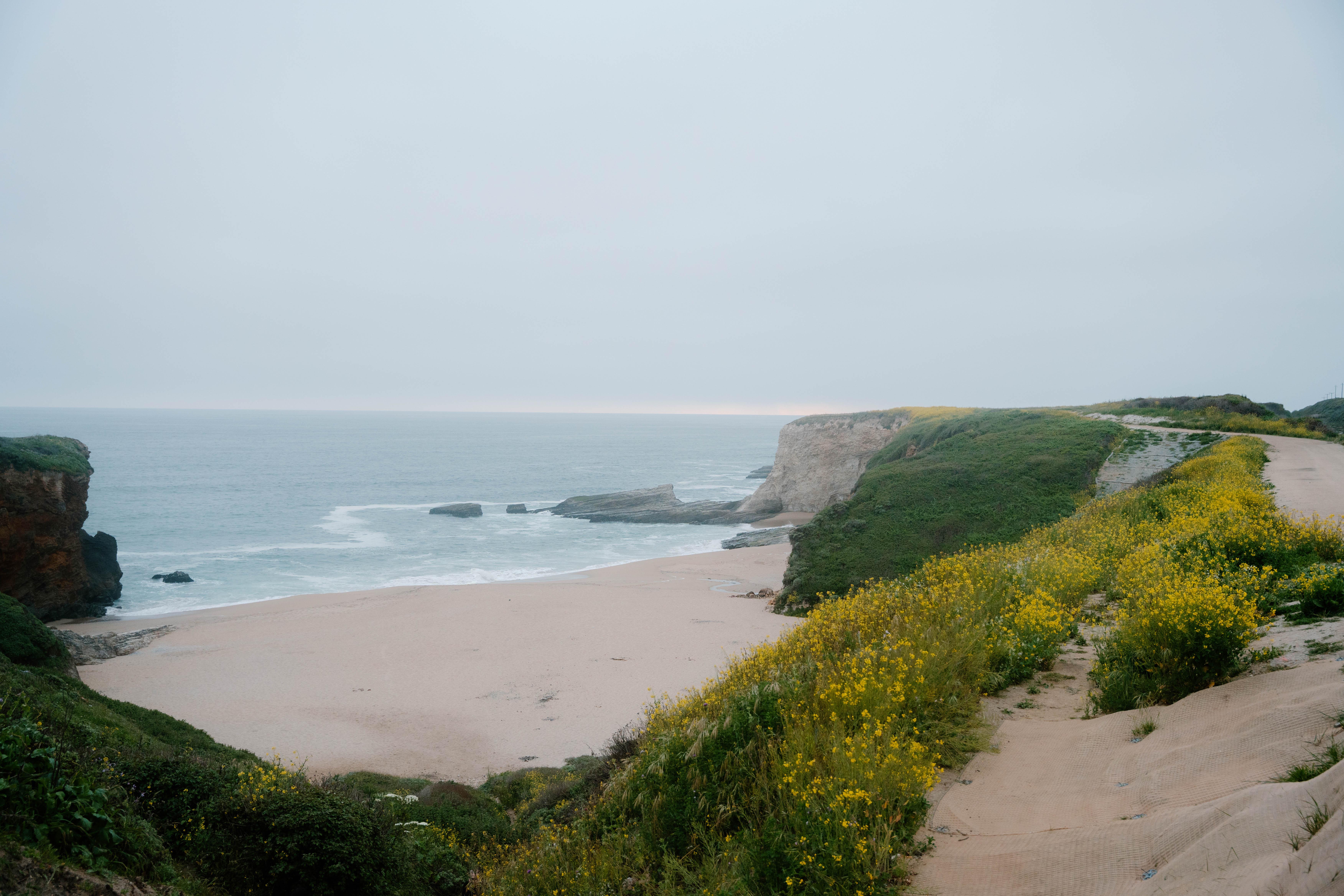 The Wedding Website of Sophia Brock and Connor Plant