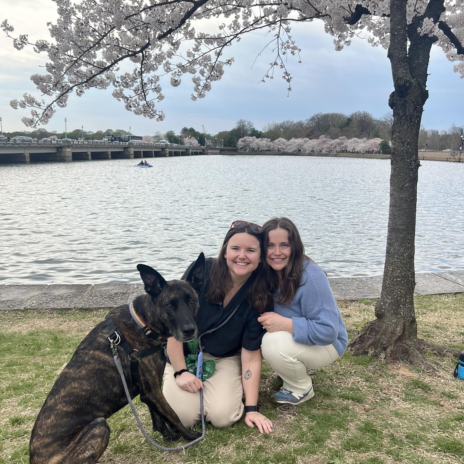 Washington, DC cherry blossoms!  
April 2025.