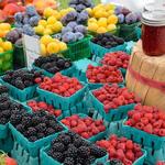 Livermore Downtown Sunday Farmers Market