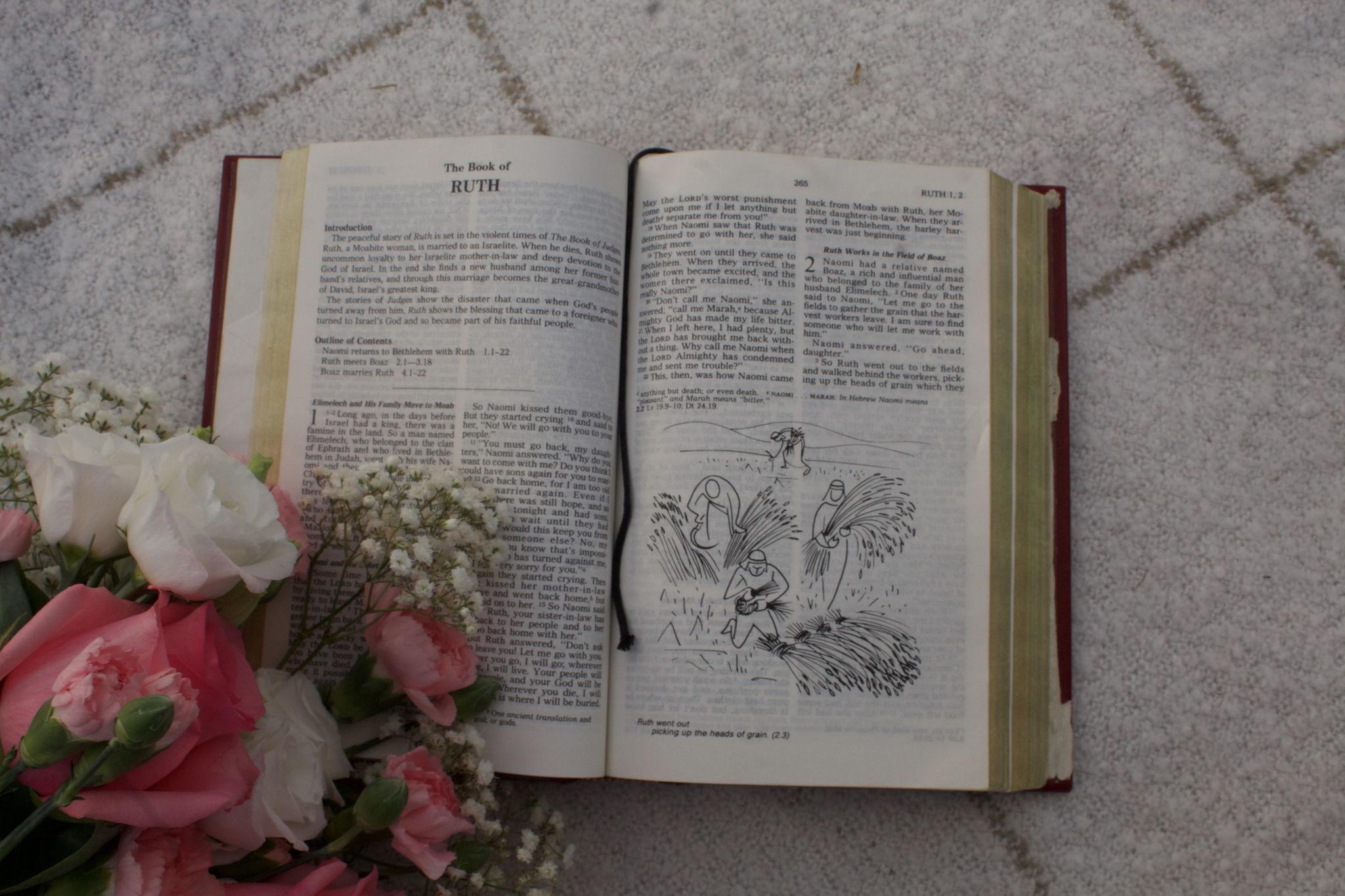 bf99a46c-d1e1-4028-a892-fb555eed5090