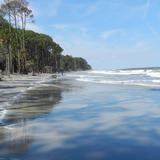 Hunting Island State Park Beach