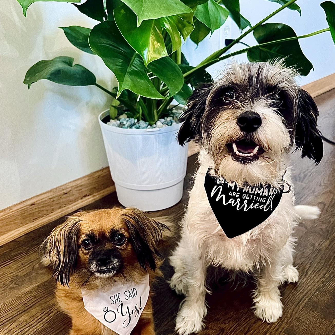 Our babies can’t wait for their parents to get married