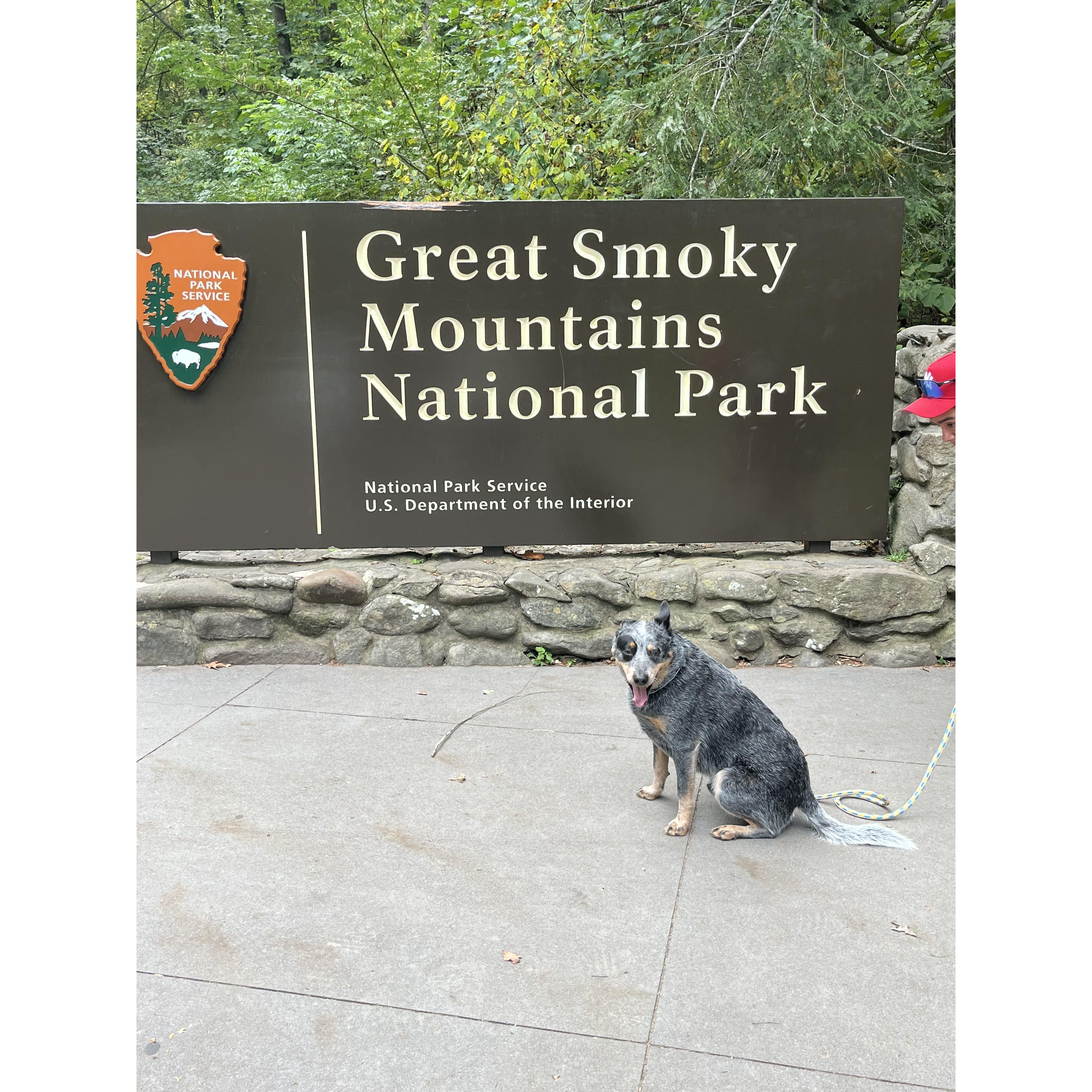Gatlinburg, TN