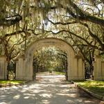 Wormsloe Historic Site